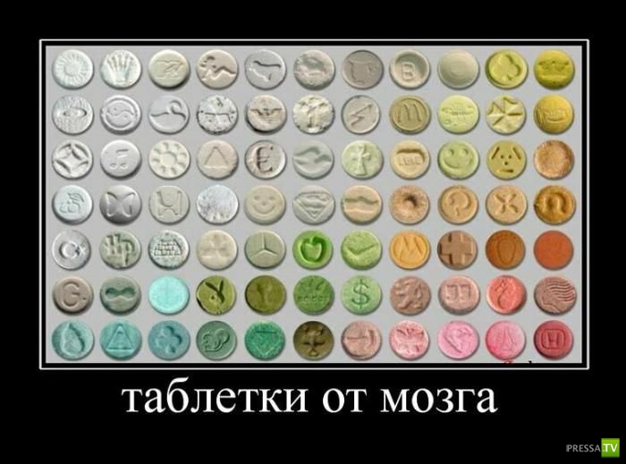 ������������ �� ������, ����� 10 (31 ����)