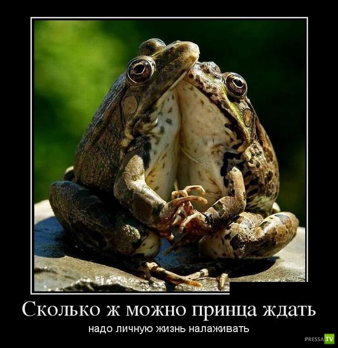 ������������ �� ������, ����� 11 (30 ����)