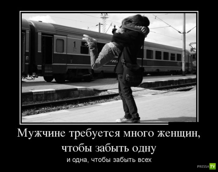 ������������ �� ������, ����� 11 (30 ����)