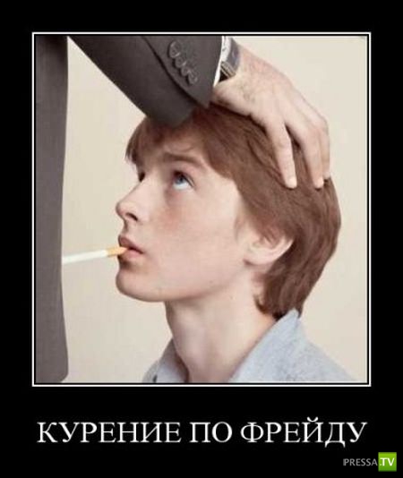 ������������ �� ������, ����� 11 (30 ����)