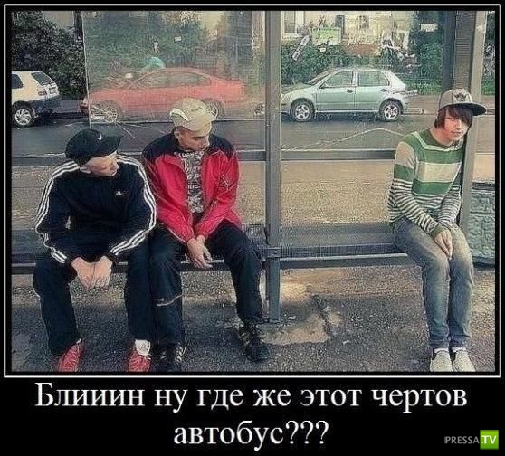 ������������ �� ������, ����� 11 (30 ����)