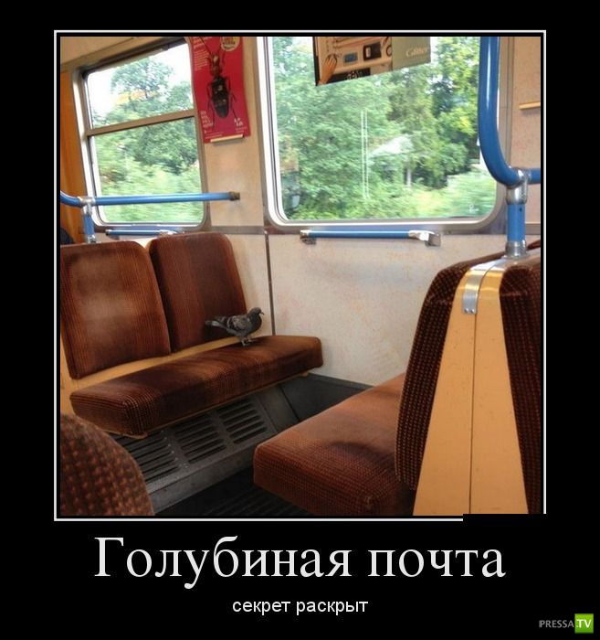 ������������ �� ������, ����� 11 (30 ����)