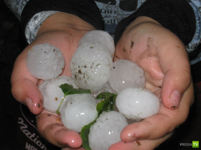 ���� � ������ � ������������� ����������� �������