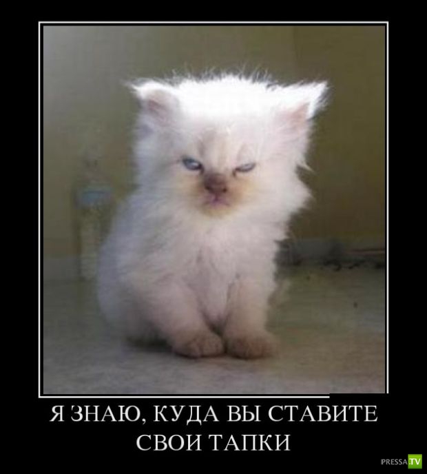 ������������ �� ������, ����� 12 (30 ����)