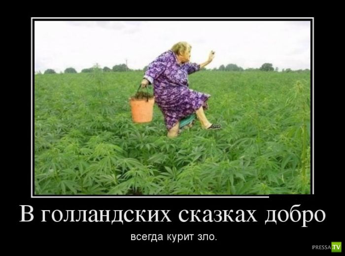 ������������ �� ������, ����� 12 (30 ����)