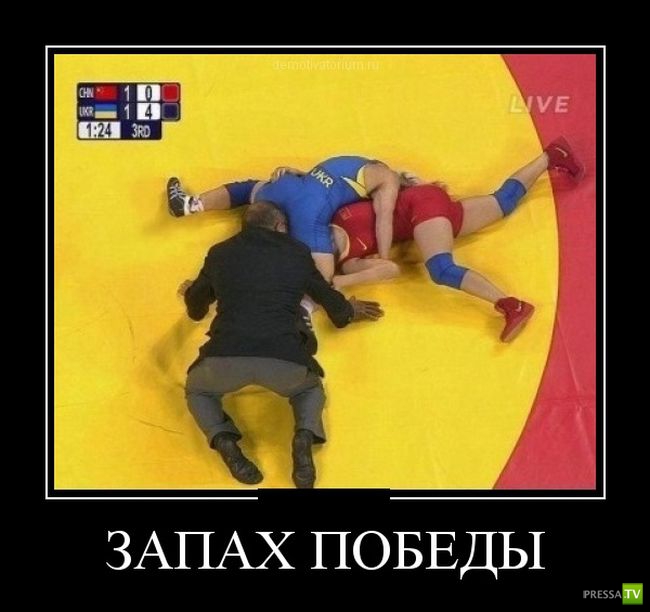 ������������ �� ������, ����� 12 (30 ����)