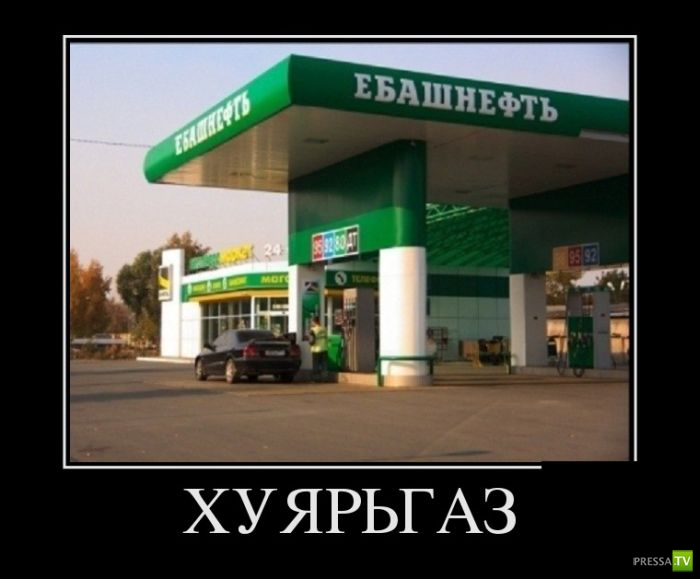 ������������ �� ������, ����� 12 (30 ����)