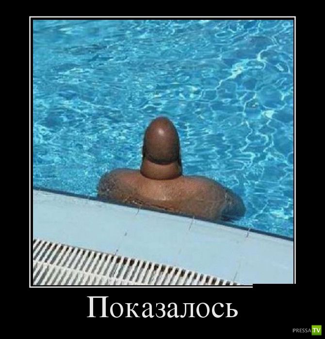 ������������ �� ������, ����� 12 (30 ����)