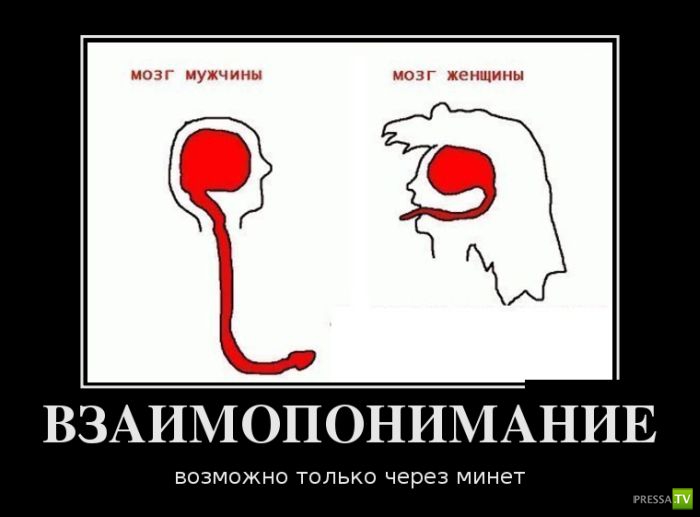 ������������ �� ������, ����� 12 (30 ����)