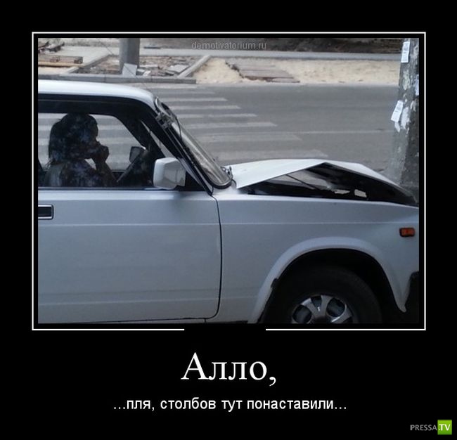 ������������ �� ������, ����� 12 (30 ����)