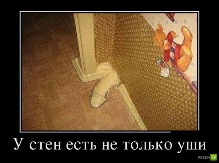 ������������ �� ������, ����� 12 (30 ����)