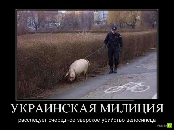 ������������ �� ������, ����� 12 (30 ����)