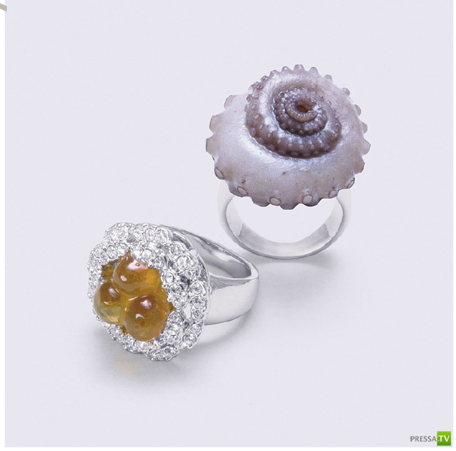 ���������� ���� �� ��������� Fulvio Bonavia � ������ Peta Mathias (21 ����)