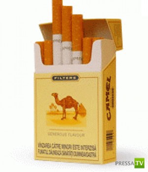 ������������� �������� � ������ ������ ������... (10 ����)