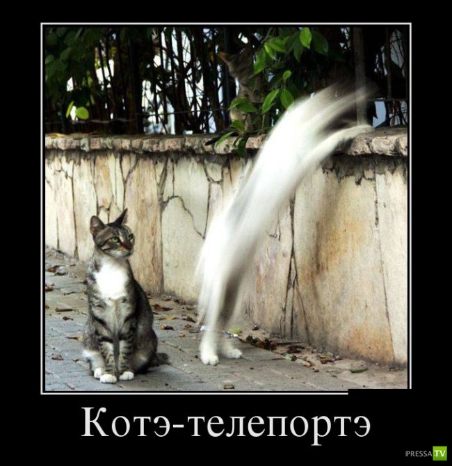 ������������ �� ������, ����� 13 (30 ����)