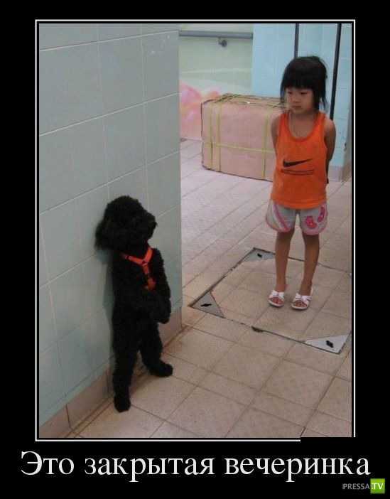 ������������ �� ������, ����� 13 (30 ����)