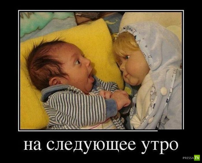 ������������ �� ������, ����� 13 (30 ����)