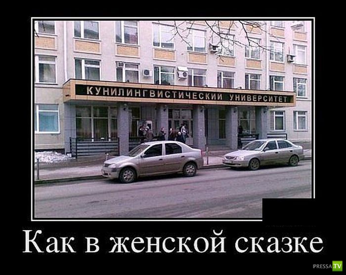 ������������ �� ������, ����� 13 (30 ����)