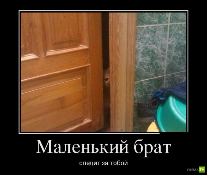 ������������ �� ������, ����� 13 (30 ����)