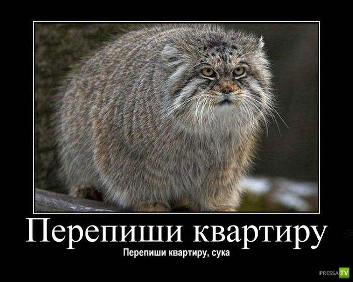 ������������ �� ������, ����� 13 (30 ����)