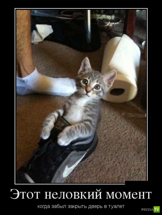 ������������ �� ������, ����� 13 (30 ����)