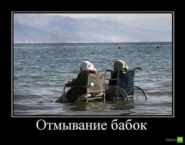 ������������ �� ������, ����� 13 (30 ����)