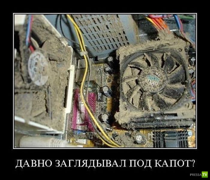 ������������ �� ������, ����� 13 (30 ����)