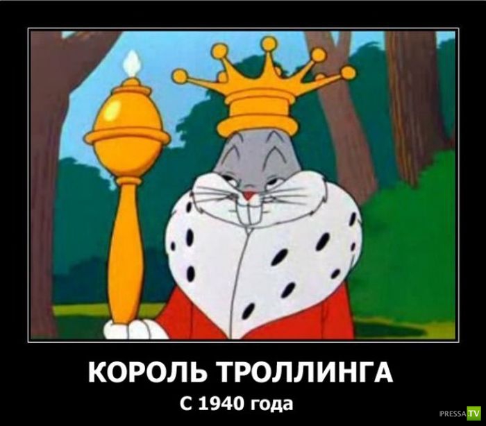 ������������ �� ������, ����� 13 (30 ����)