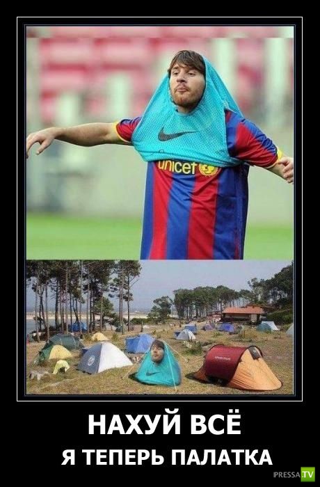 ������������ �� ������, ����� 14 (31 ����)