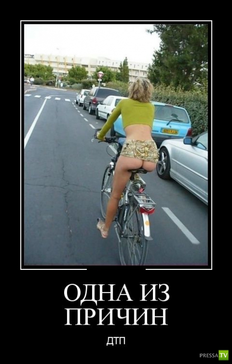 ������������ �� ������, ����� 14 (31 ����)