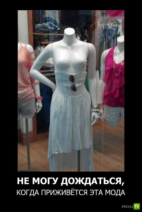 ������������ �� ������, ����� 14 (31 ����)