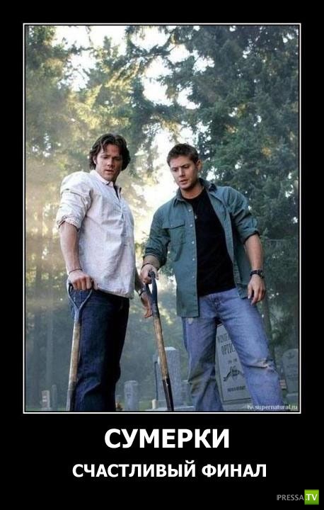 ������������ �� ������, ����� 14 (31 ����)