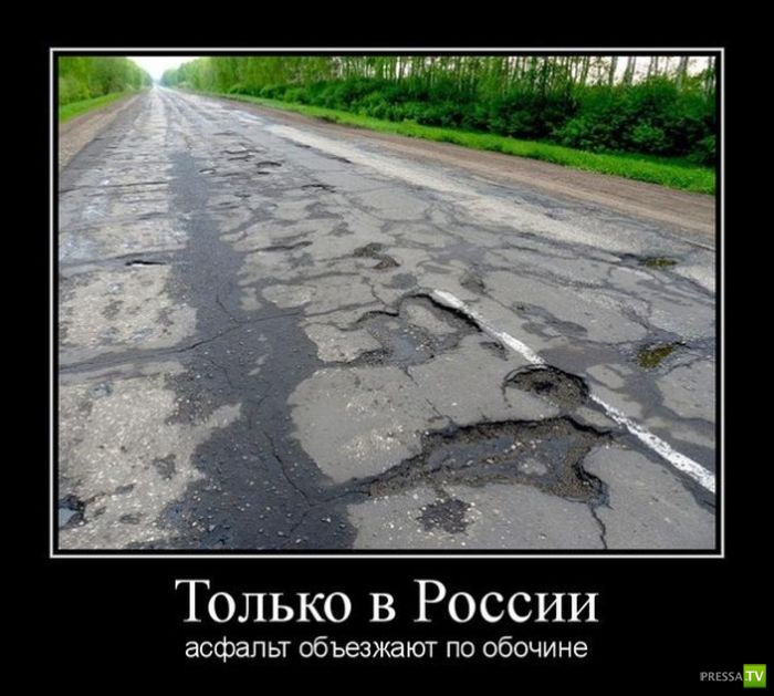 ������������ �� ������, ����� 14 (31 ����)