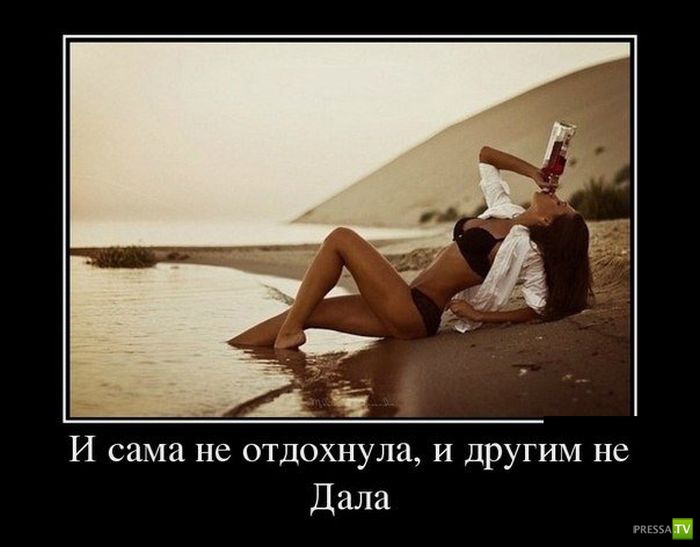 ������������ �� ������, ����� 14 (31 ����)