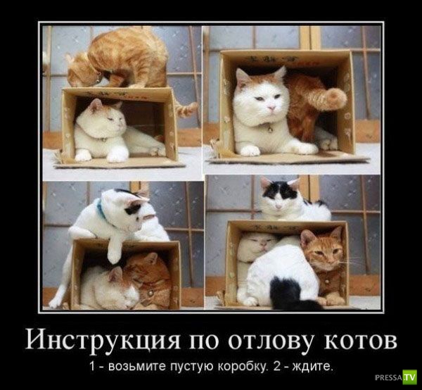 ������������ �� ������, ����� 14 (31 ����)