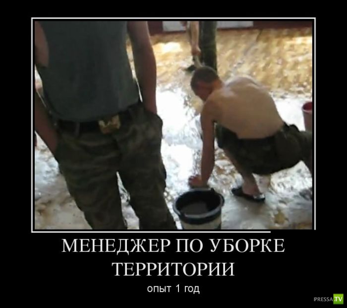 ������������ �� ������, ����� 15 (31 ����)