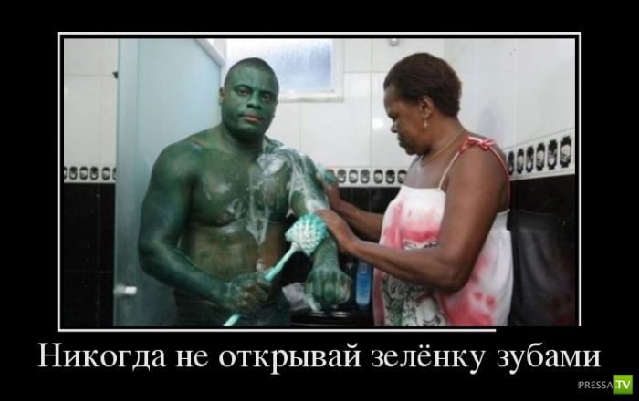 ������������ �� ������, ����� 15 (31 ����)