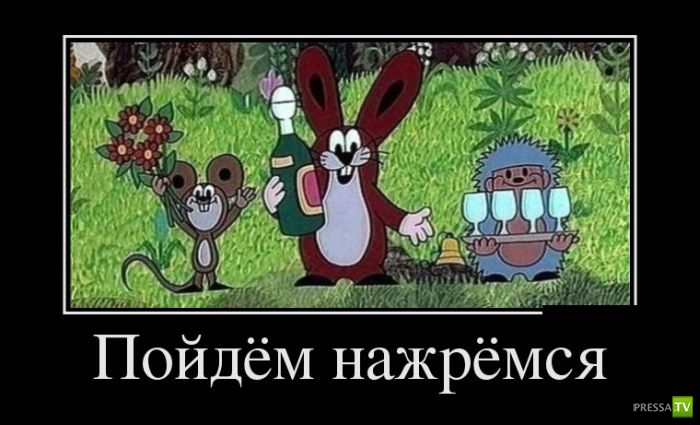 ������������ �� ������, ����� 15 (31 ����)