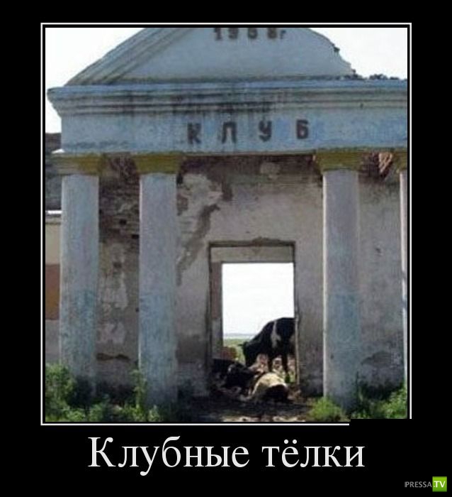 ������������ �� ������, ����� 15 (31 ����)