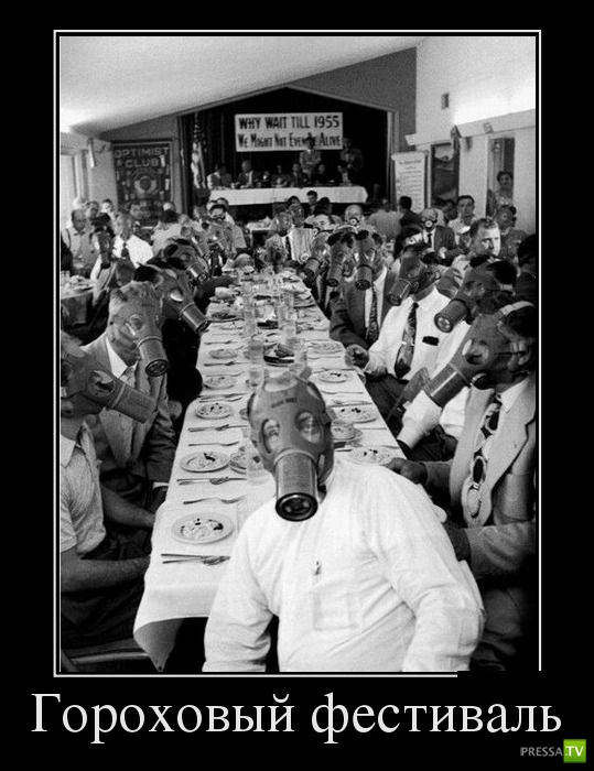 ������������ �� ������, ����� 15 (31 ����)