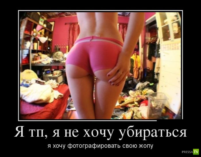 ������������ �� ������, ����� 15 (31 ����)