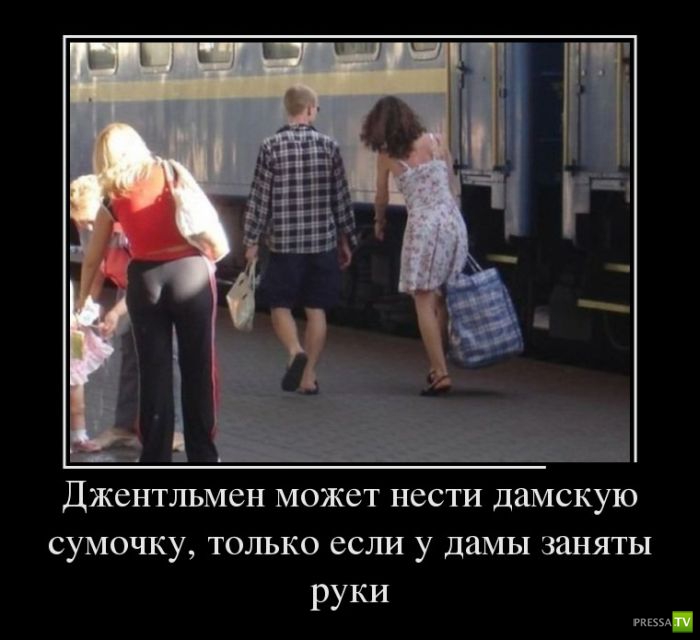 ������������ �� ������, ����� 15 (31 ����)