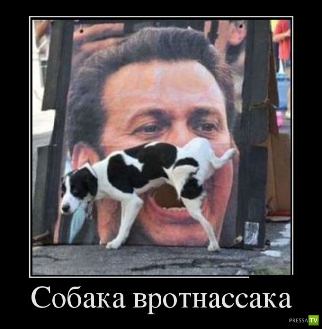 ������������ �� ������, ����� 15 (31 ����)