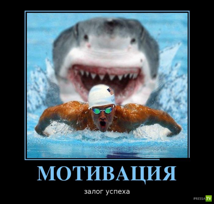 ������������ �� ������, ����� 16 (29 ����)