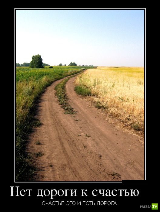 ������������ �� ������, ����� 16 (29 ����)