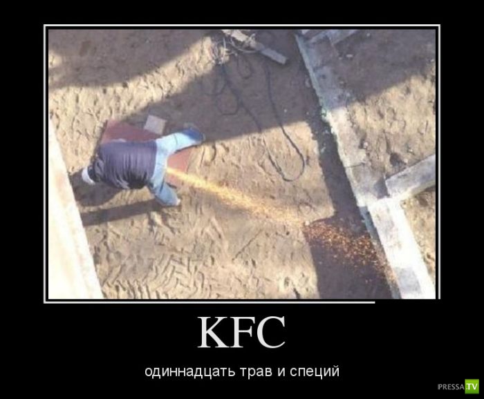 ������������ �� ������, ����� 16 (29 ����)