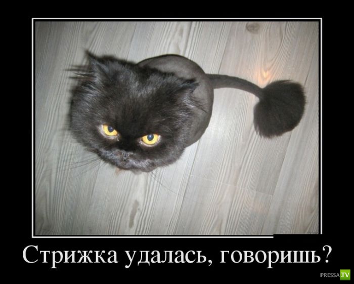 ������������ �� ������, ����� 16 (29 ����)