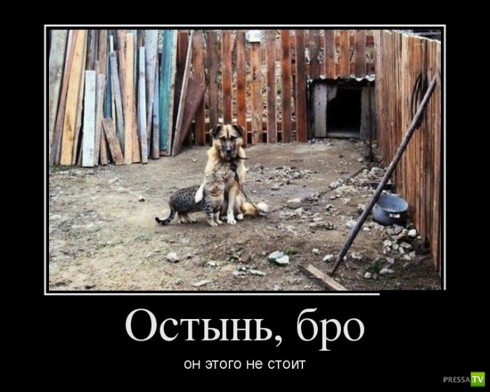 ������������ �� ������, ����� 17 (30 ����)