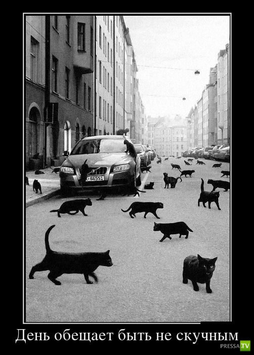 ������������ �� ������, ����� 17 (30 ����)