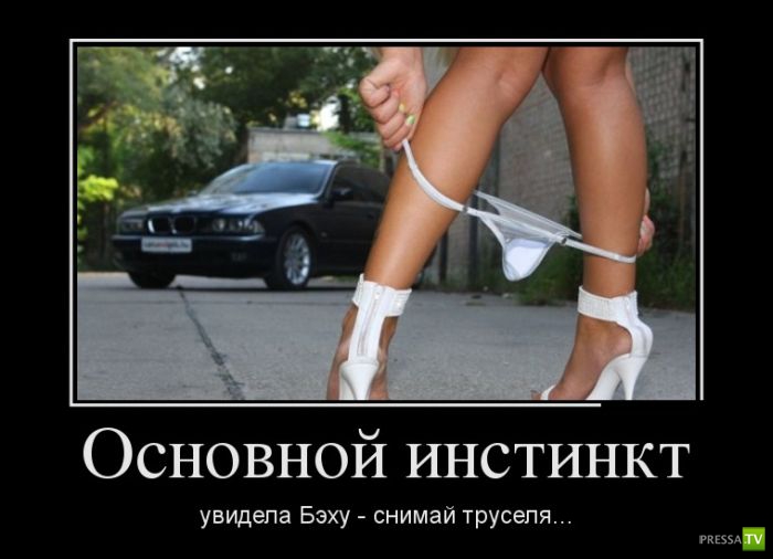 ������������ �� ������, ����� 17 (30 ����)